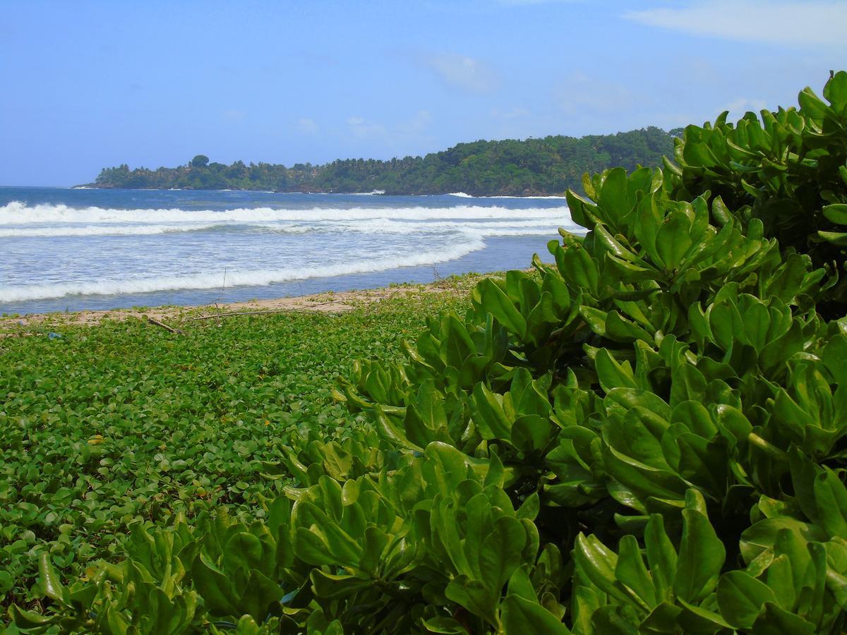 Talalla Coconut Hotel Bagian luar foto
