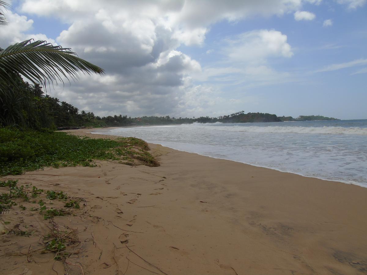 Talalla Coconut Hotel Bagian luar foto