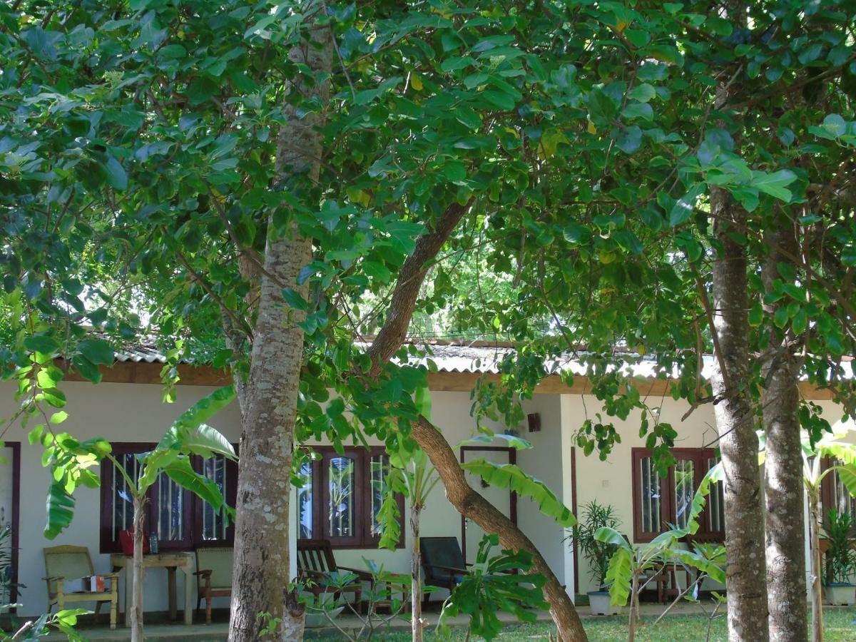 Talalla Coconut Hotel Bagian luar foto