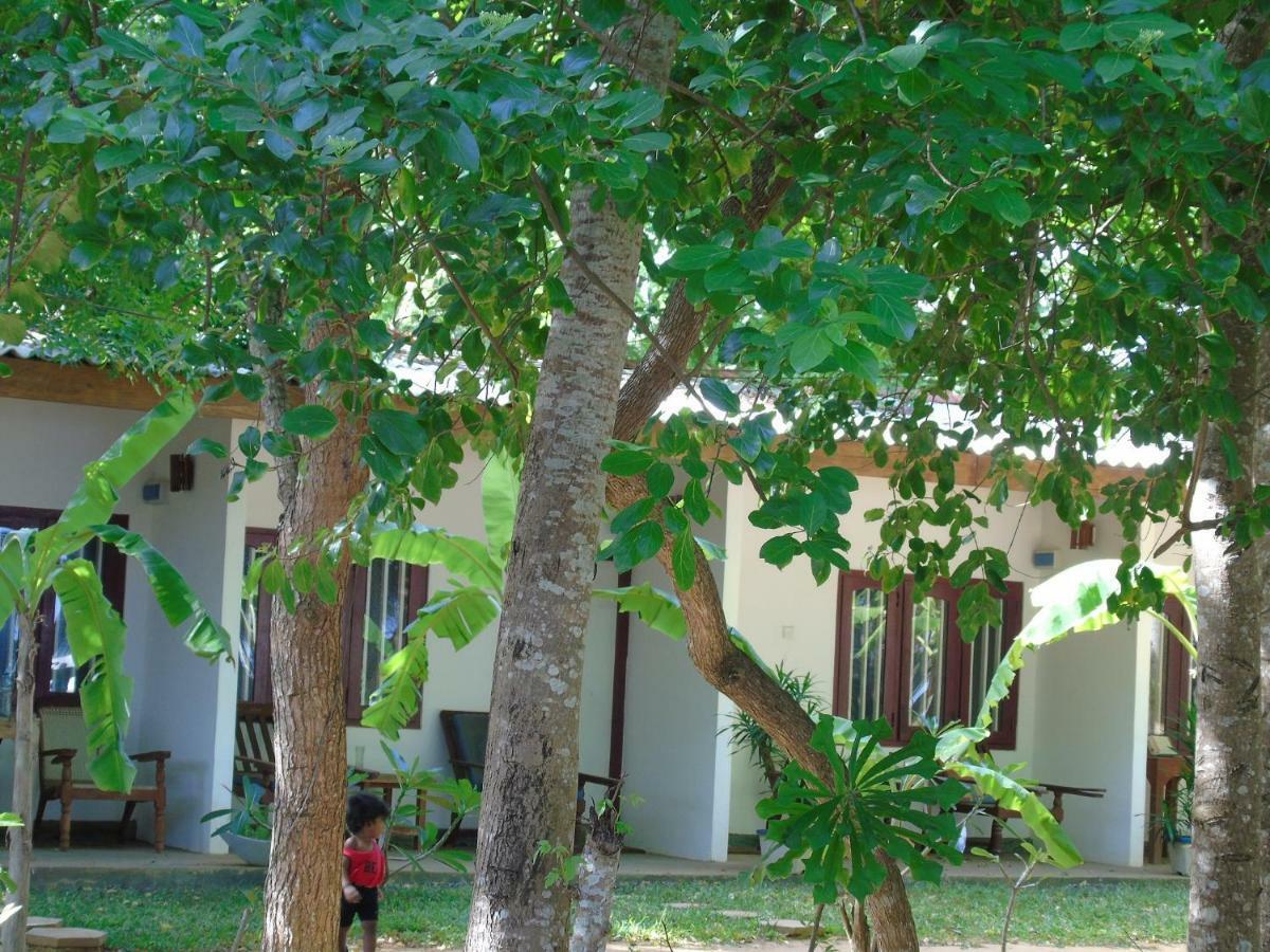 Talalla Coconut Hotel Bagian luar foto