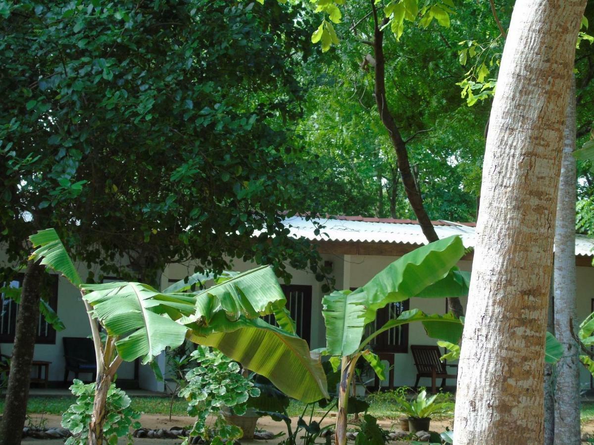 Talalla Coconut Hotel Bagian luar foto
