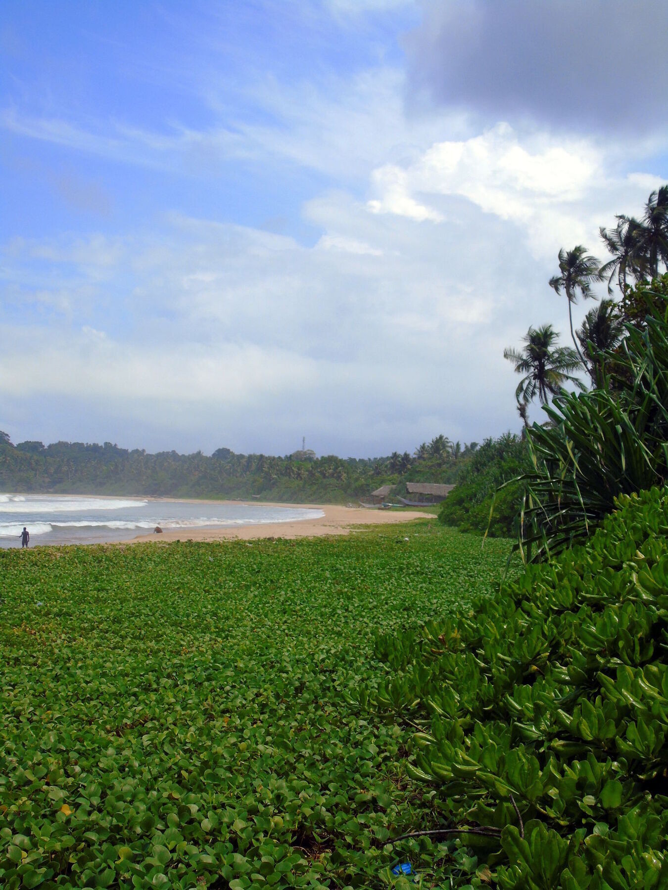 Talalla Coconut Hotel Bagian luar foto